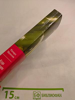 Куда приводят мечты