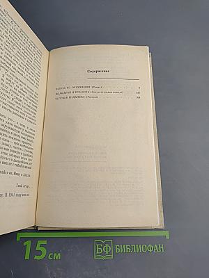 Выход из окружения. Жамсаран и его дочь