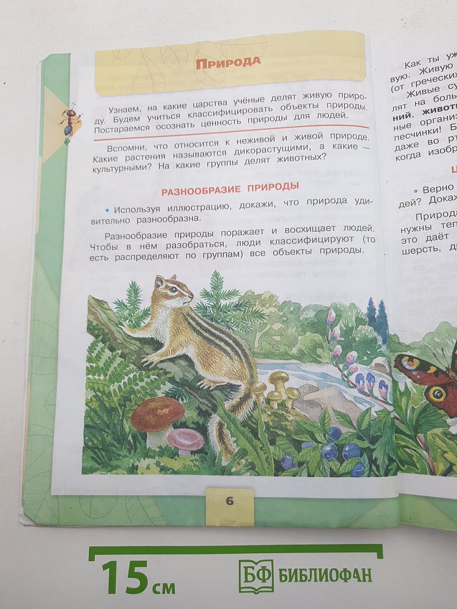 Окружающий МИР