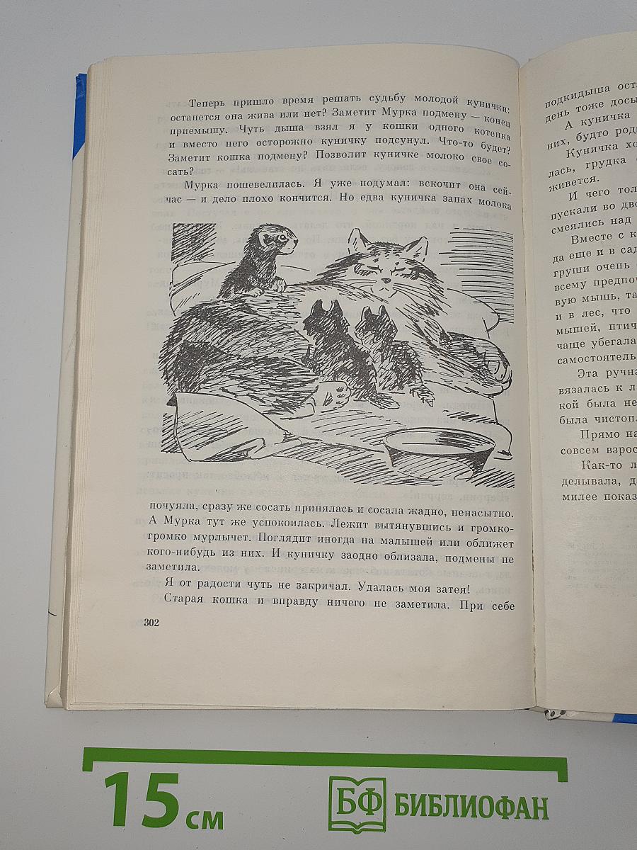 Огонь железного «Гурбана»