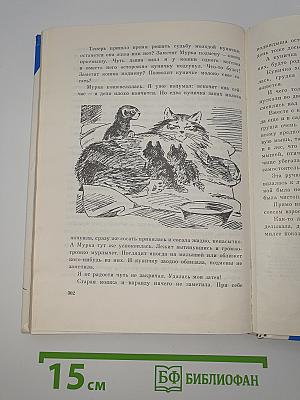 Огонь железного «Гурбана»