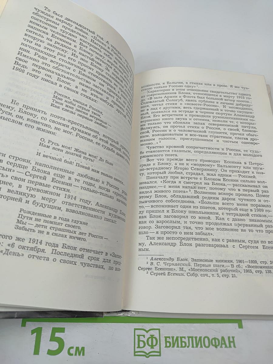 Сергей Есенин. Образ. Стихи. Эпоха