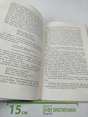 Сергей Есенин. Образ. Стихи. Эпоха