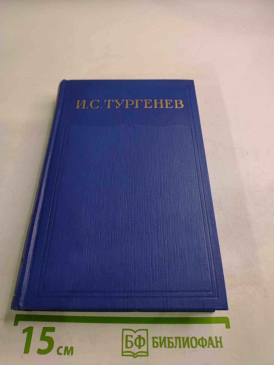 Сочинения. Том десятый. Повести и рассказы 1867-1870