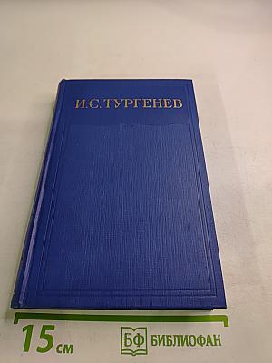 Сочинения. Том десятый. Повести и рассказы 1867-1870