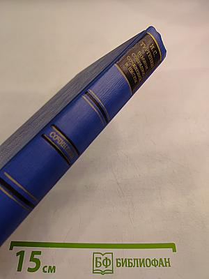 Сочинения. Том десятый. Повести и рассказы 1867-1870