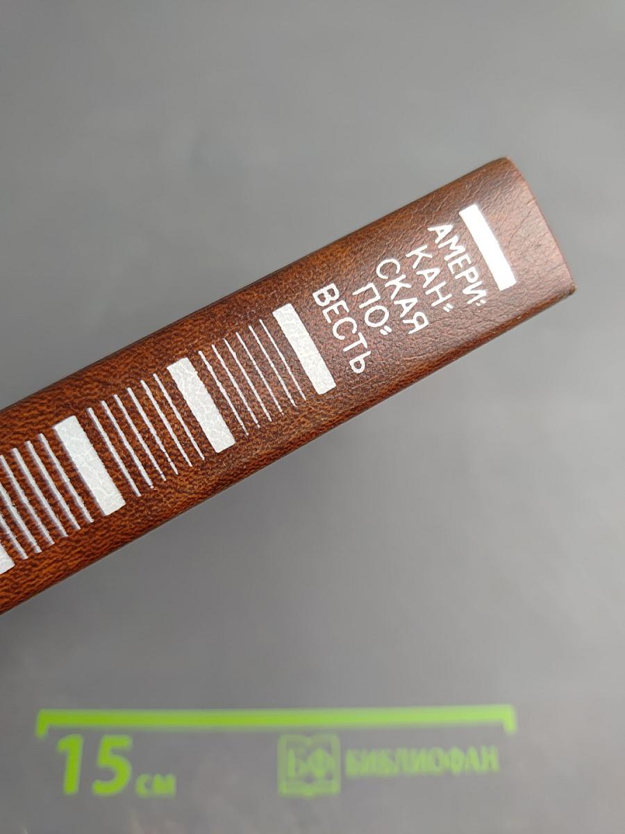 Американская повесть. Книга вторая