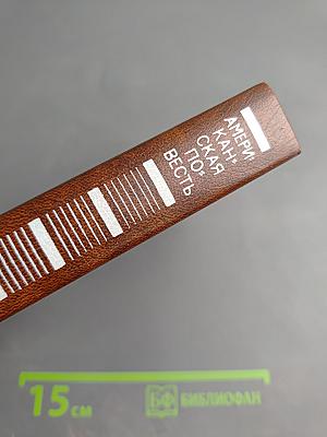 Американская повесть. Книга вторая