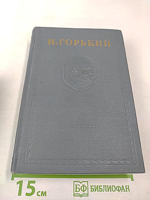 Городок Окуров. Жизнь Матвея Кожемякина