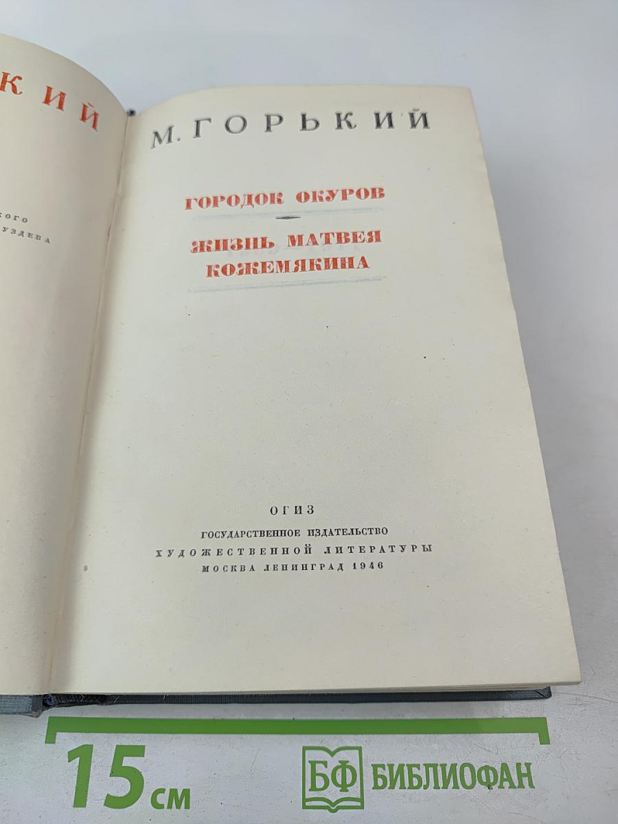 Городок Окуров. Жизнь Матвея Кожемякина