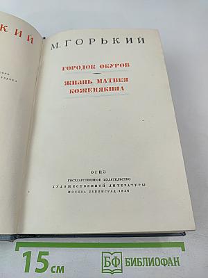 Городок Окуров. Жизнь Матвея Кожемякина