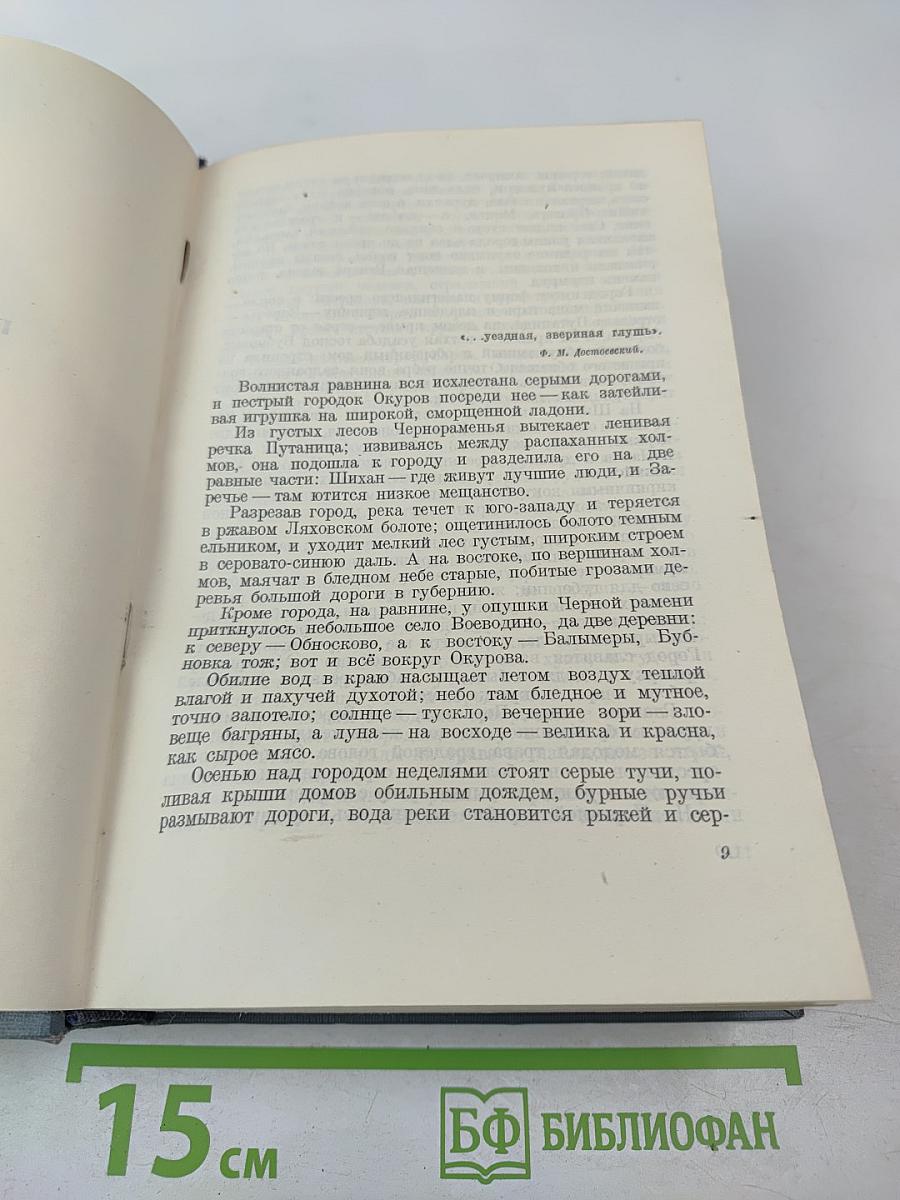 Городок Окуров. Жизнь Матвея Кожемякина