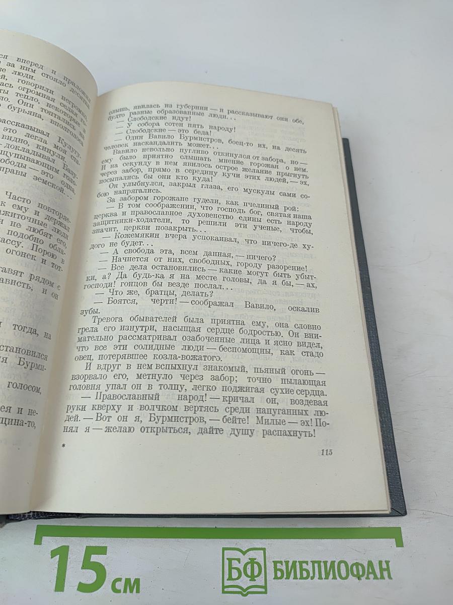 Городок Окуров. Жизнь Матвея Кожемякина