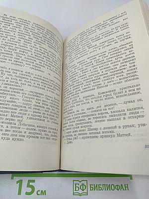 Городок Окуров. Жизнь Матвея Кожемякина