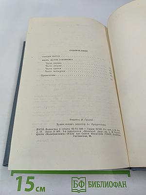 Городок Окуров. Жизнь Матвея Кожемякина