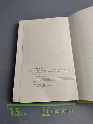 Президент не уходит в отставку