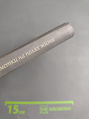 Заметки на полях жизни