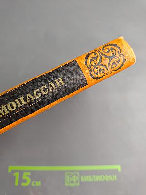 Собрание сочинений в семи томах. Том 6