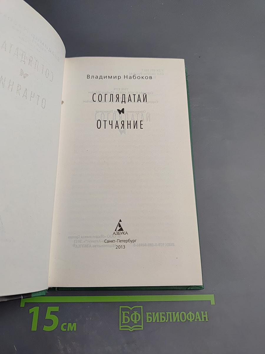 Соглядатай. Отчаяние