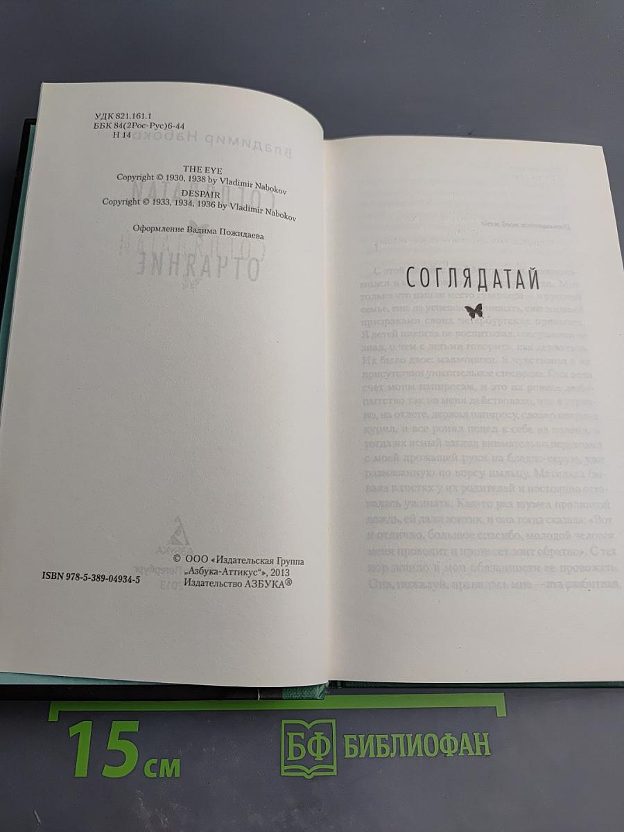 Соглядатай. Отчаяние