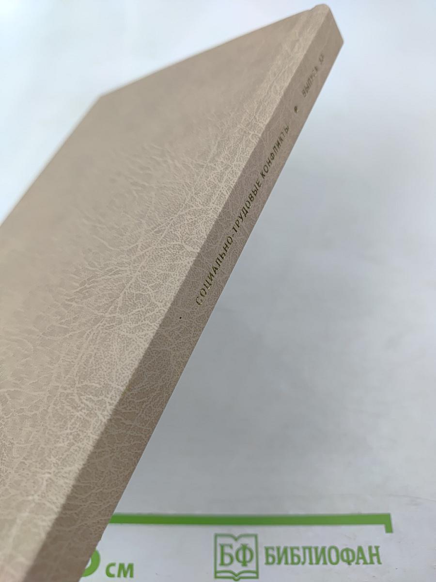 Гендерные аспекты социально-трудовых отношений. Выпуск 33