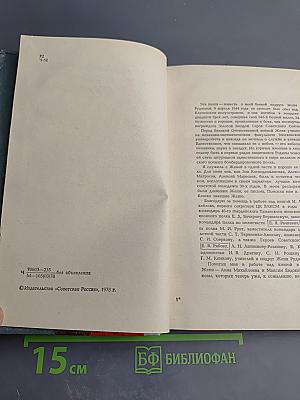 Повесть о Жене Рудневой