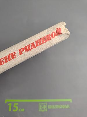 Повесть о Жене Рудневой