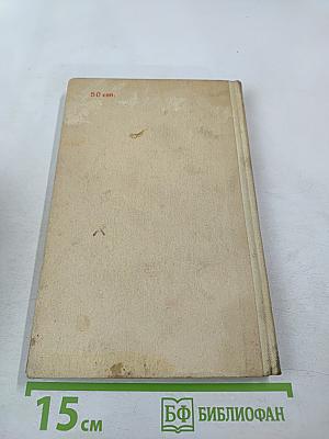 Надежный товарищ