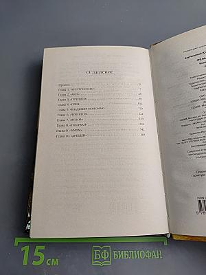 Фельдъегерь. Книга вторая. Рыцарь