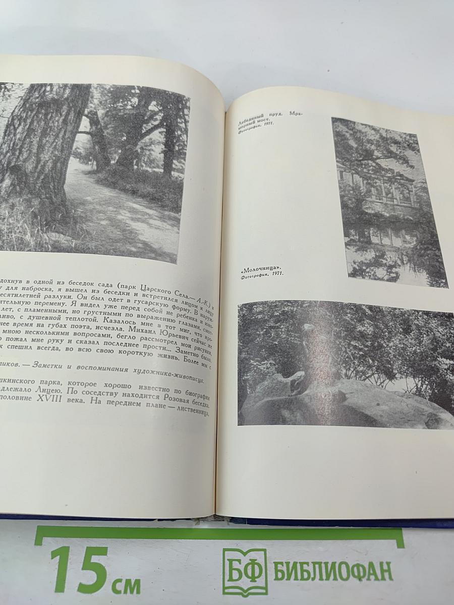 Всеведенье поэта