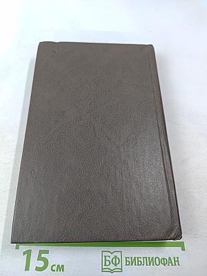 Очерки по истории русского литературного стиля. Повествовательная проза и лирика