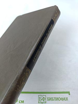 Очерки по истории русского литературного стиля. Повествовательная проза и лирика