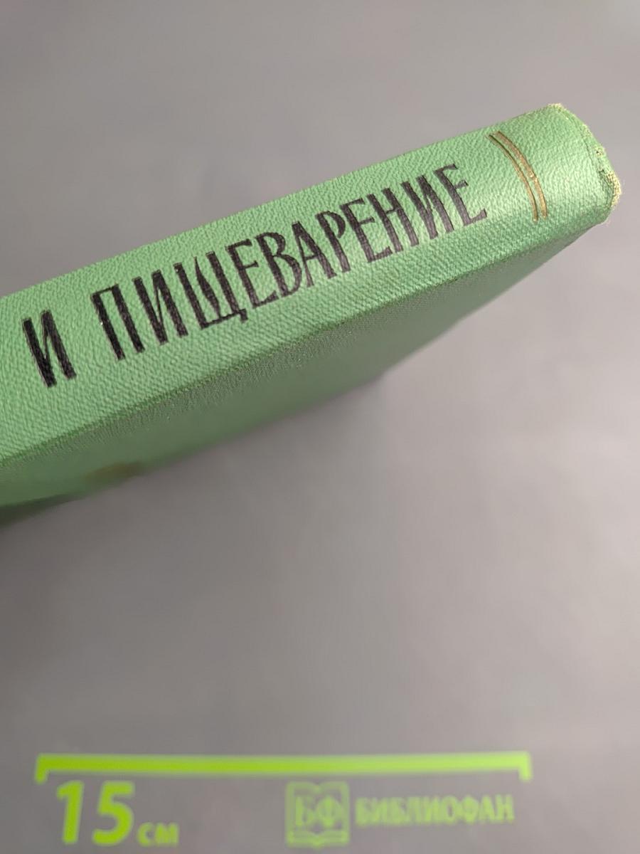 Ионизирующая радиация и пищеварение