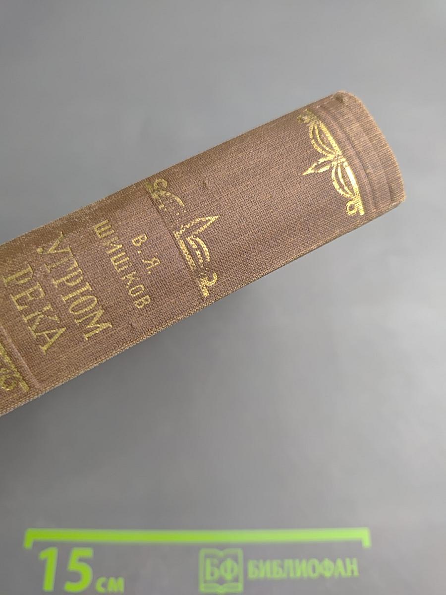 Угрюм-река, том первый