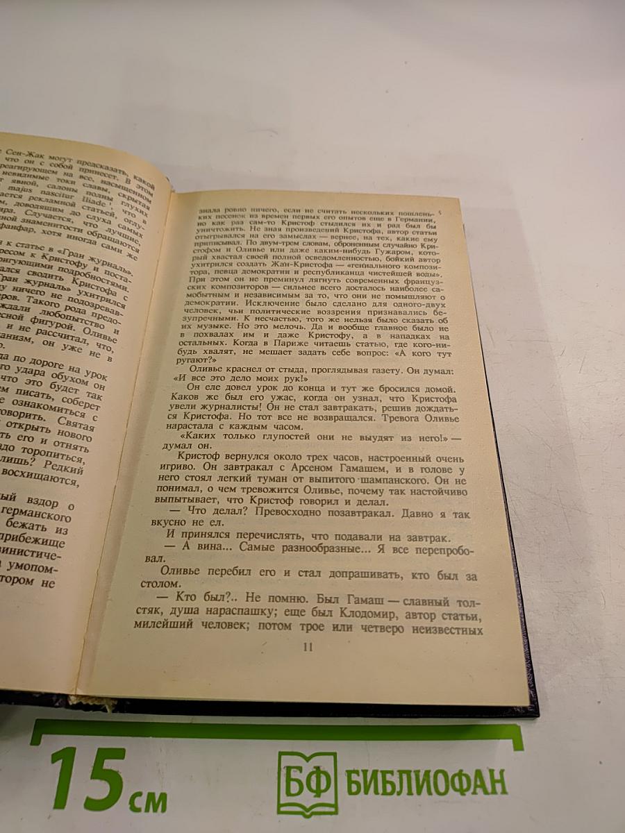 Жан-Кристоф. Том 3