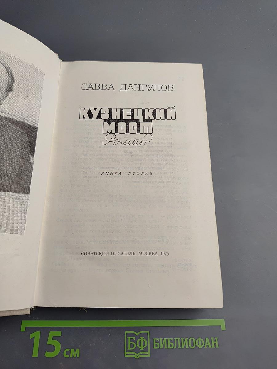 Кузнецкий мост. Книга вторая