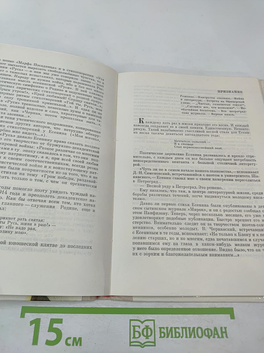 Сергей Есенин. Очерк жизни и творчества