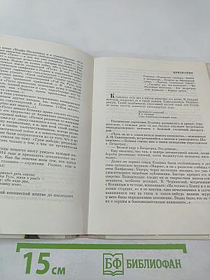 Сергей Есенин. Очерк жизни и творчества