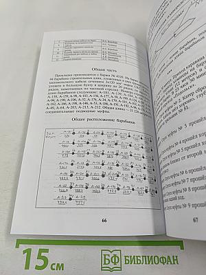 Ладога. Пять нитей жизни