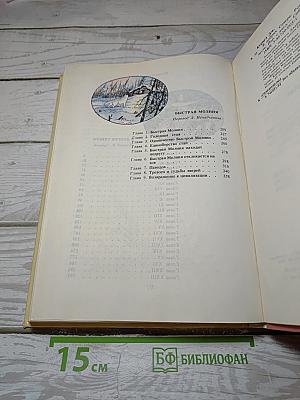 В дебрях Севера. Быстрая Молния