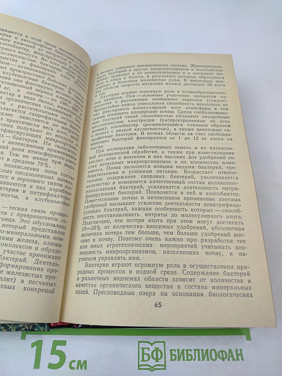 Природа Ленинградской области и ее охрана