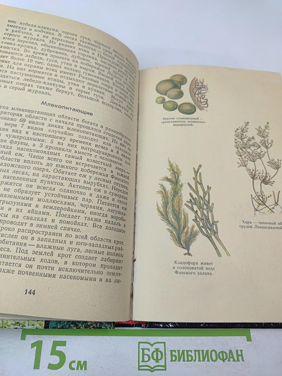 Природа Ленинградской области и ее охрана