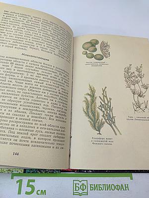 Природа Ленинградской области и ее охрана