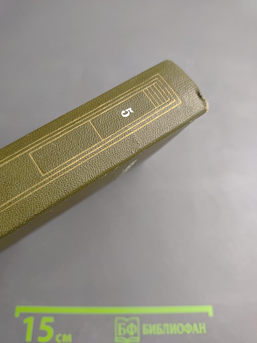 Собрание сочинений. Том пятый. Рассказы. Очерки. Статьи