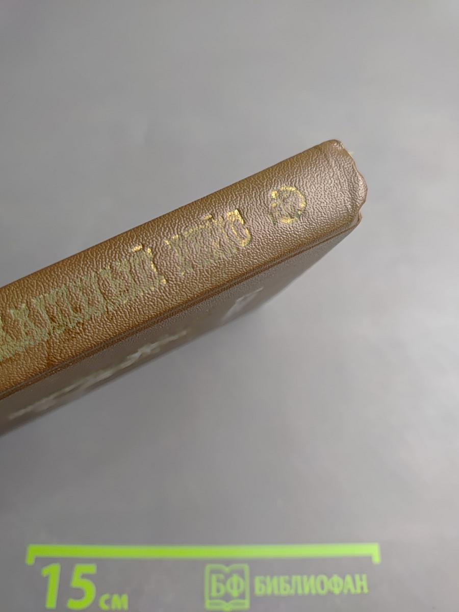 Ералашный рейс. Повести. Рассказы