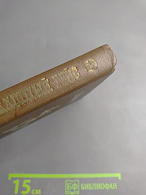 Ералашный рейс. Повести. Рассказы