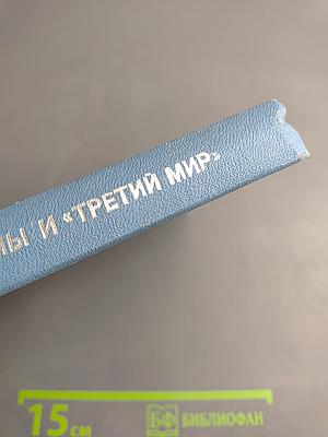 ГЛОБАЛЬНЫЕ ПРОБЛЕМЫ И «ТРЕТИЙ МИР» (Общемировые и региональные процессы развития)