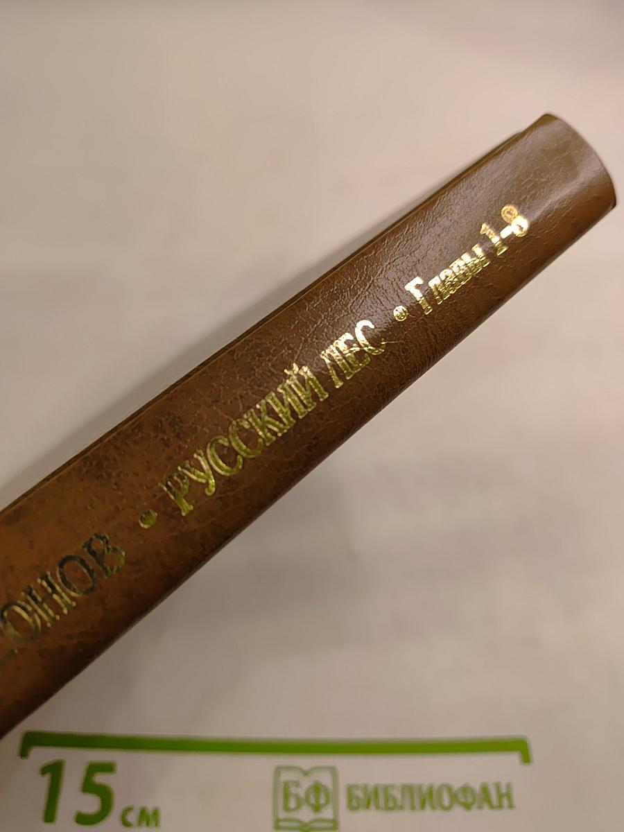 Русский лес. Главы первая - восьмая