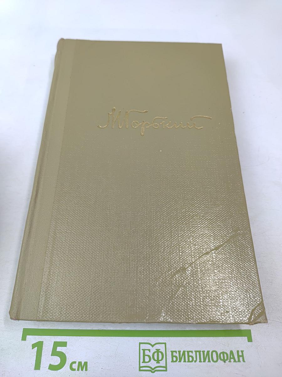 Жизнь Клима Самгина. Собрание сочинений. Том 13