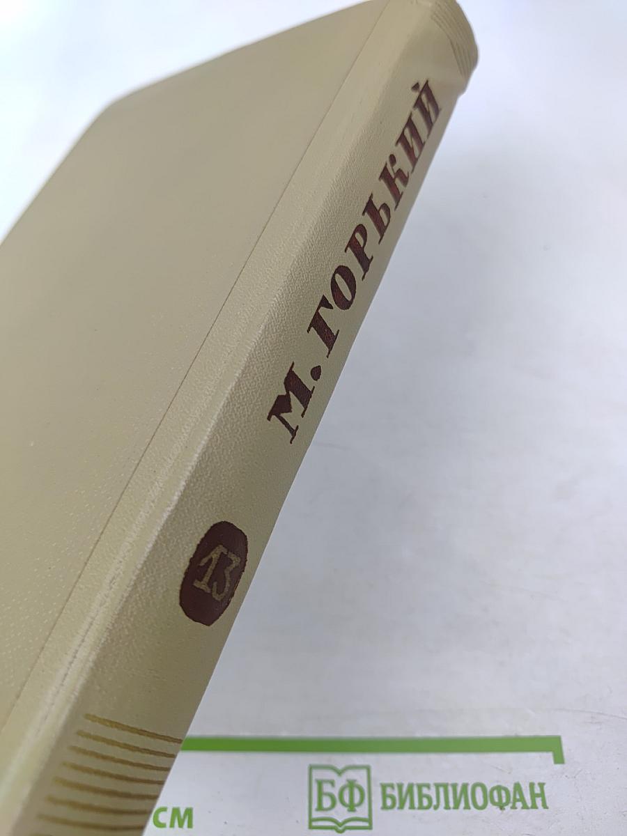 Жизнь Клима Самгина. Собрание сочинений. Том 13